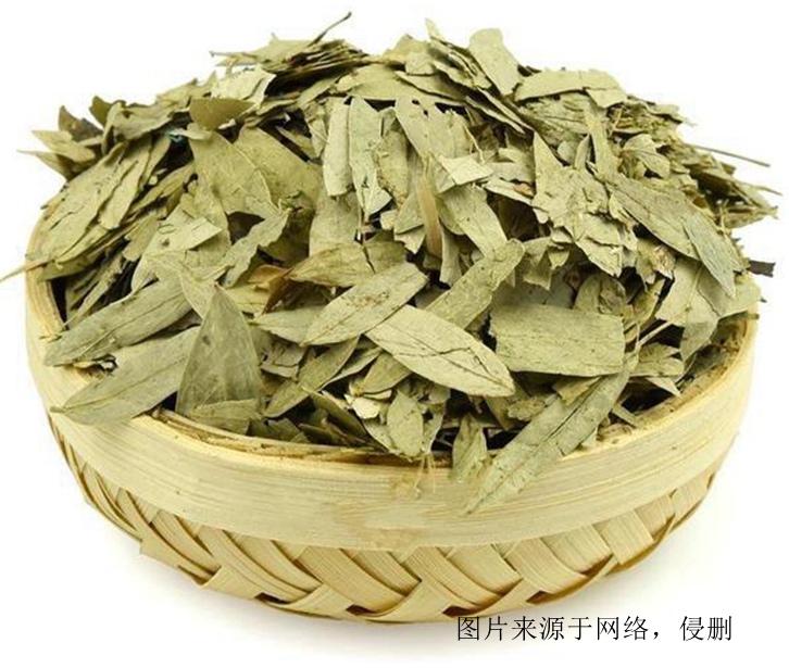 印度番瀉葉進(jìn)口報(bào)關(guān)資料