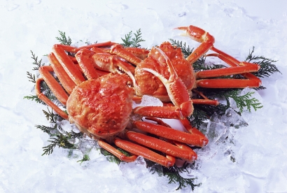 青島帝王蟹進(jìn)口清關(guān)代理服務(wù)