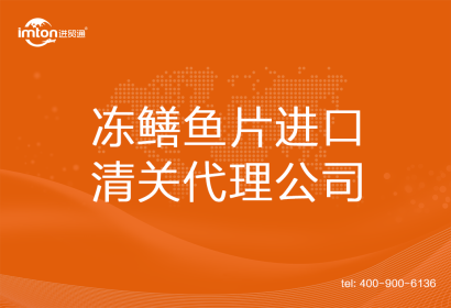 凍鱔魚片進口清關代理公司