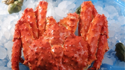 廣東進口俄羅斯帝王蟹報關(guān)資料_進口海鮮清關(guān)流程