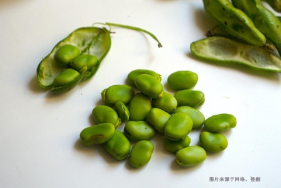 新西蘭蠶豆進口報關(guān)費用_新西蘭準入進口新鮮蔬菜