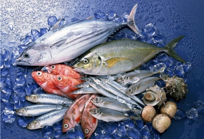 水產(chǎn)品進口清關(guān)所需資料流程_越南沙丁魚報關(guān)代理