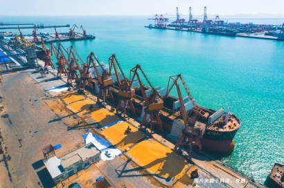 上海浦東機場進口清關公司哪家好？上海報關行排名