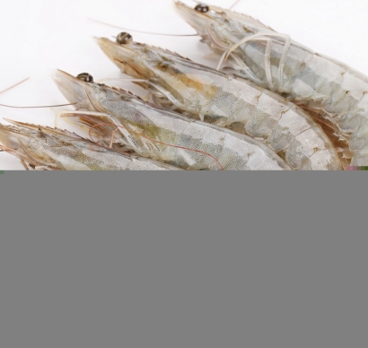 越南冷凍南美白對蝦進(jìn)口清關(guān)資料到上海外高橋案例