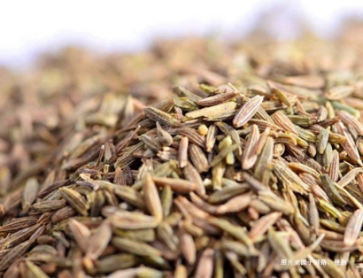 沈陽孜然進口清關流程是怎么樣的？印度孜然報關行