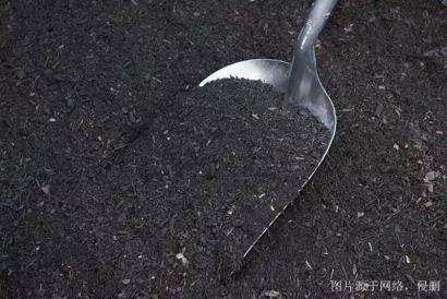 青島化肥進口報關資料_肥料進口如何清關流程手續