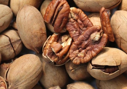 美國(guó)山核桃碧根果進(jìn)口清關(guān)資料-廣州堅(jiān)果報(bào)關(guān)行