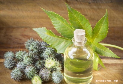 印度精煉蓖麻油進口報關流程費用-19年植物油報關行