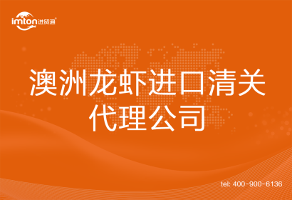 澳洲龍蝦進口清關(guān)代理公司