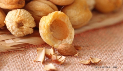 青島專業(yè)食品進口報關(guān)清關(guān)