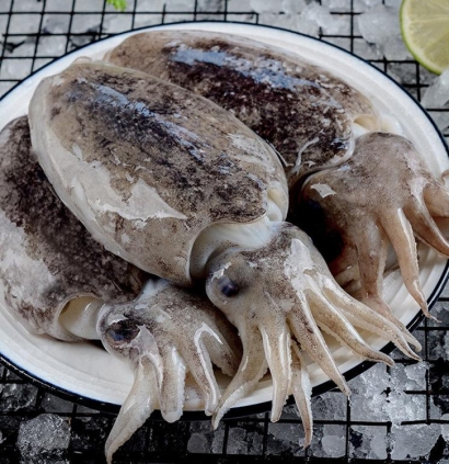 摩洛哥冷凍墨魚進口報關(guān)費用_水產(chǎn)品清關(guān)費用