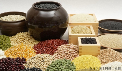 廣州進口食品報關(guān)_廣州臻力解析詳細流程和要點