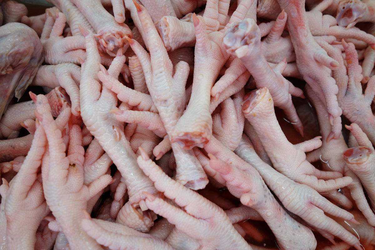 天津雞爪進口報關費用