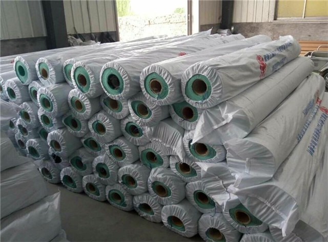 1587865622182477.jpg 防水卷材進口報關