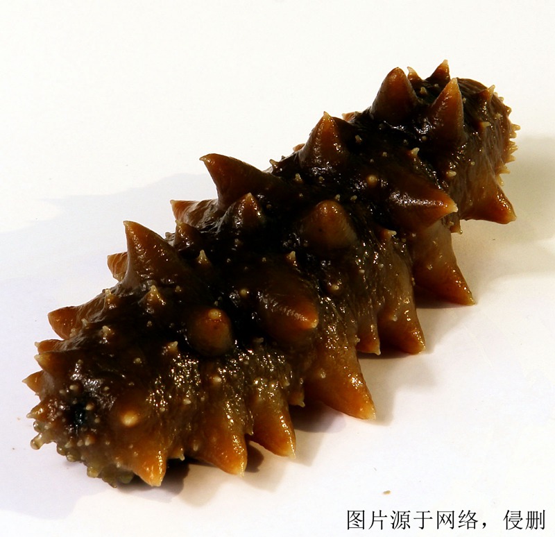 印度尼西亞進(jìn)口報(bào)關(guān)公司哪家好 印度尼西亞進(jìn)口報(bào)關(guān)公司哪家好