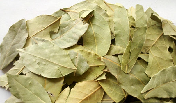 【進口香葉清關代理公司】告訴你香葉進口流程 進口香葉清關代理公司