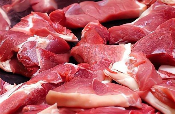 1640596895276323.jpg 河南進(jìn)口豬肉清關(guān)_副本.jpg